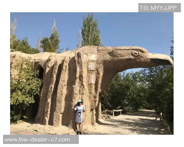 定言足球:探索足球战术与哲学的深度交融与实践之路